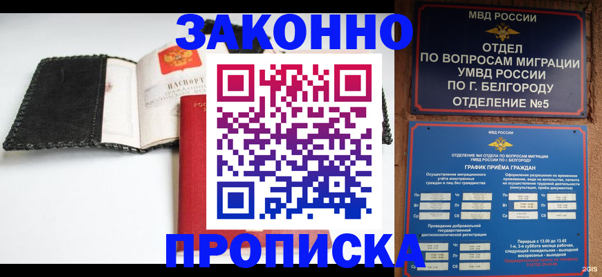 временная регистрация госуслуги в Мурманске